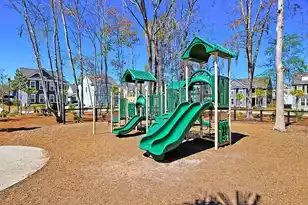 2823 Conservancy Ln, Charleston, SC 29414 - Photo 52