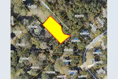 1311 Joe Steed Court, Mount Pleasant, SC 29464 - Photo 1