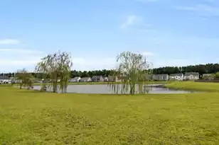 242 Saxony Loop, Summerville, SC 29486 - Photo 60