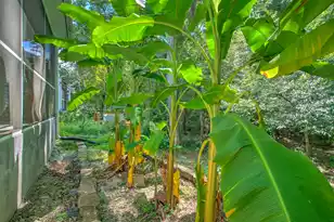 117 Steeple Point Ct, Summerville, SC 29485 - Photo 32