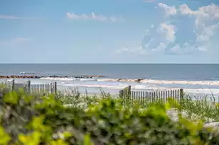 1315 Ashley Ave E, Folly Beach, SC 29439 - Photo 56