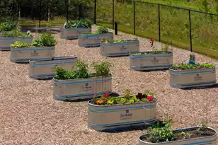 117 Ivy Ter Rd, Summerville, SC 29486 - Photo 92