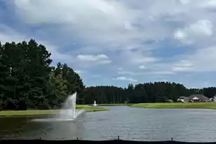 1102 Plantation Overlook Dr, Moncks Corner, SC 29461 - Photo 4