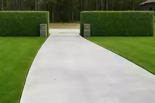 170 Caboose Ct, Cottageville, SC 29435 - Photo 2