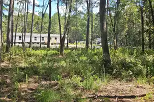 170 Caboose Ct, Cottageville, SC 29435 - Photo 20