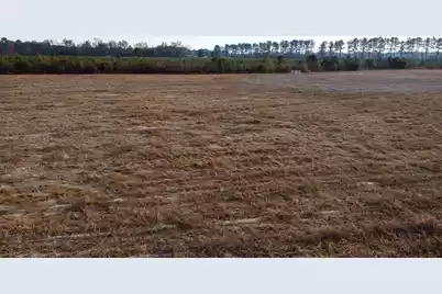 149 Rambling Ln, Cross, SC 29436 - Photo 6