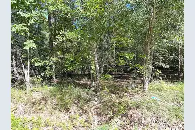 0 B Acorn Lane, Santee, SC 29142 - Photo 2