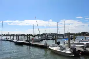 17 W Mariners Cay, Folly Beach, SC 29439 - Photo 50