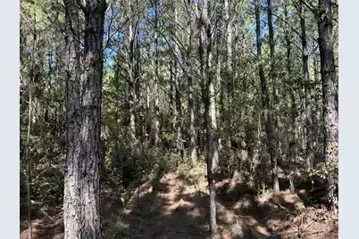 10 Red Oak Road, Cottageville, SC 29435 - Photo 16