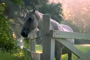 1185 Poco Sabo Ln, Green Pond, SC 29446 - Photo 48