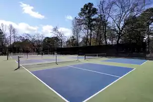 3584 Somerset Hills Ct, Mount Pleasant, SC 29466 - Photo 82