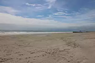 716 Arctic Ave E, Folly Beach, SC 29439 - Photo 6