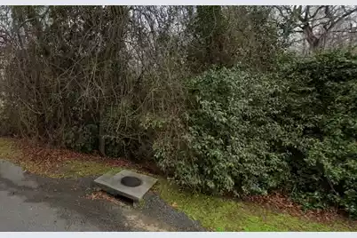 0 Irick Street, Eutawville, SC 29048 - Photo 4