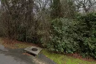 0 Irick St, Eutawville, SC 29048 - Photo 4