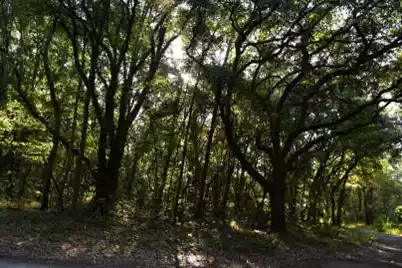 139 Earnestine Drive, Georgetown, SC 29440 - Photo 2