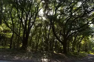 139 Earnestine Dr, Georgetown, SC 29440 - Photo 2