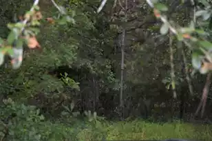 80 Thompson Rd, Hemingway, SC 29554 - Photo 1