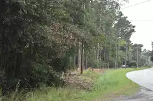 Lot 14 Tupperware Rd, Hemingway, SC 29554 - Photo 2