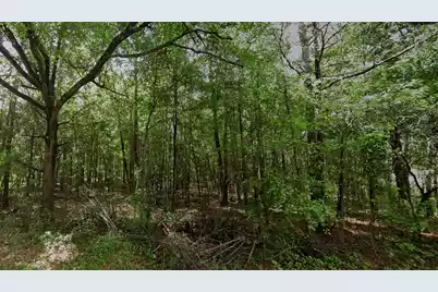 0 Hodges Road, Kingstree, SC 29556 - Photo 2