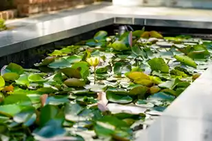 49 Battery Street S, Charleston, SC 29401 - Photo 78