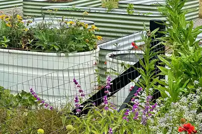 8258 Jack Island Drive, Johns Island, SC 29455 - Photo 82