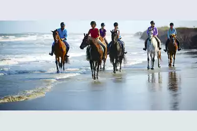 1908 Marsh Oak Lane, Seabrook Island, SC 29455 - Photo 84