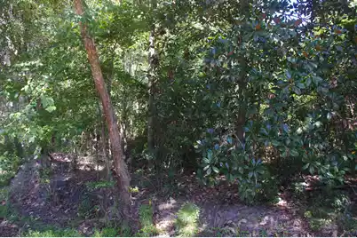 0 Edgewood Street, Walterboro, SC 29488 - Photo 10