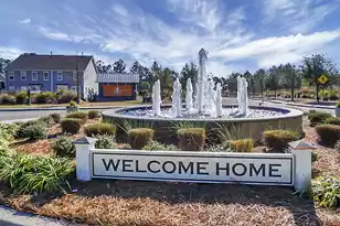 304 Sabal Palmetto Ct, Moncks Corner, SC 29461 - Photo 46