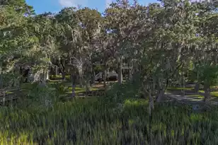 7805 Russell Crk Rd, Edisto Island, SC 29438 - Photo 94