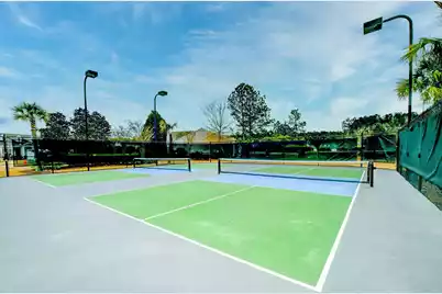 181 Sea Lavender Lane, Summerville, SC 29486 - Photo 42