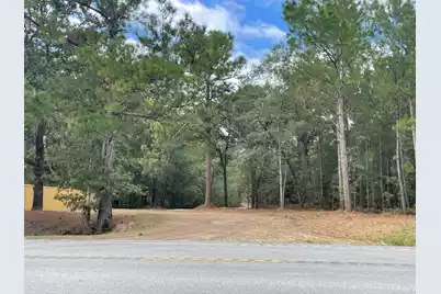 3 Hwy 45, Cross, SC 29436 - Photo 1