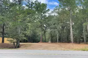 3 Hwy 45, Cross, SC 29436 - Photo 1