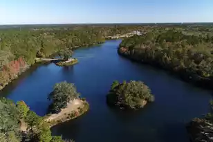 131 Collared Dove Ct, Summerville, SC 29483 - Photo 44