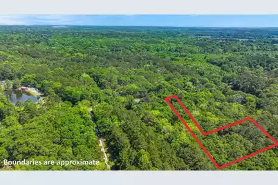 0 Steamboat Landing Road, Edisto Island, SC 29438 - Photo 6
