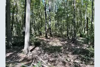 6444 St Anthony Drive, Yonges Island, SC 29449 - Photo 20