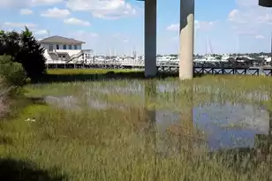 1563 Headquarters Plantation Dr, Johns Island, SC 29455 - Photo 120