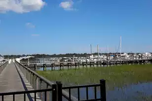 1563 Headquarters Plantation Dr, Johns Island, SC 29455 - Photo 118