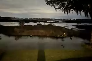 1563 Headquarters Plantation Dr, Johns Island, SC 29455 - Photo 90