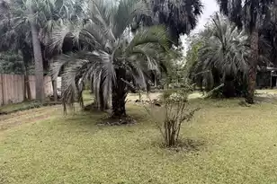 138 Acline Ave, Saint Stephen, SC 29479 - Photo 6