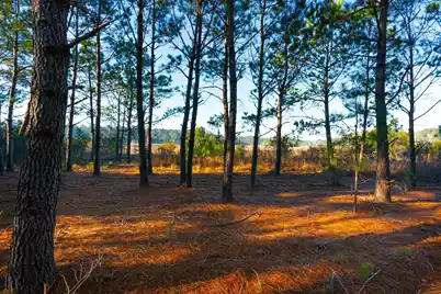 0 Rushland Landing Road, Johns Island, SC 29455 - Photo 18