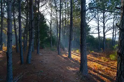 0 Rushland Landing Road, Johns Island, SC 29455 - Photo 14