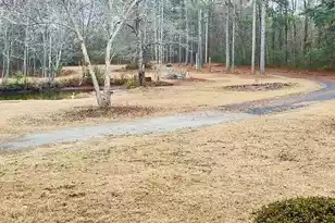 2401 Cannon Rd, Round O, SC 29474 - Photo 46