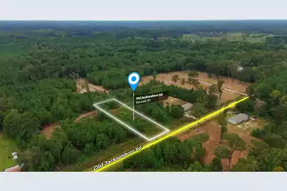 0 Old Jacksonboro Road, Adams Run, SC 29426 - Photo 2