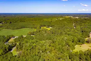 114 Leisure St, Reevesville, SC 29471 - Photo 46