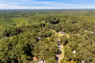 197 Davis Circle, Walterboro, SC 29488 - Photo 30