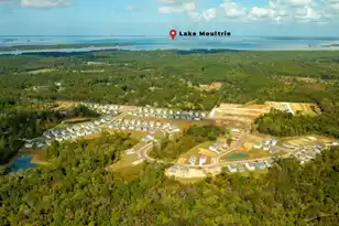 168 Morning Vw Wy, Moncks Corner, SC 29461 - Photo 8