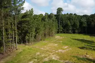 2 Grooms Rd, Cross, SC 29436 - Photo 16