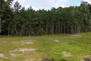 2 Grooms Rd, Cross, SC 29436 - Photo 24