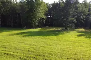 4 Grooms Rd, Cross, SC 29436 - Photo 18