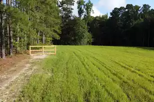 4 Grooms Rd, Cross, SC 29436 - Photo 16